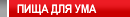 Пища для ума